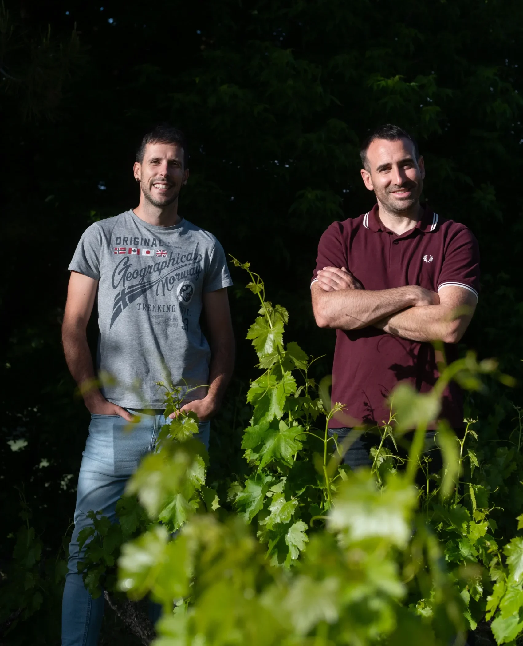 Sobre nosotros legardabidea viticultores vertical