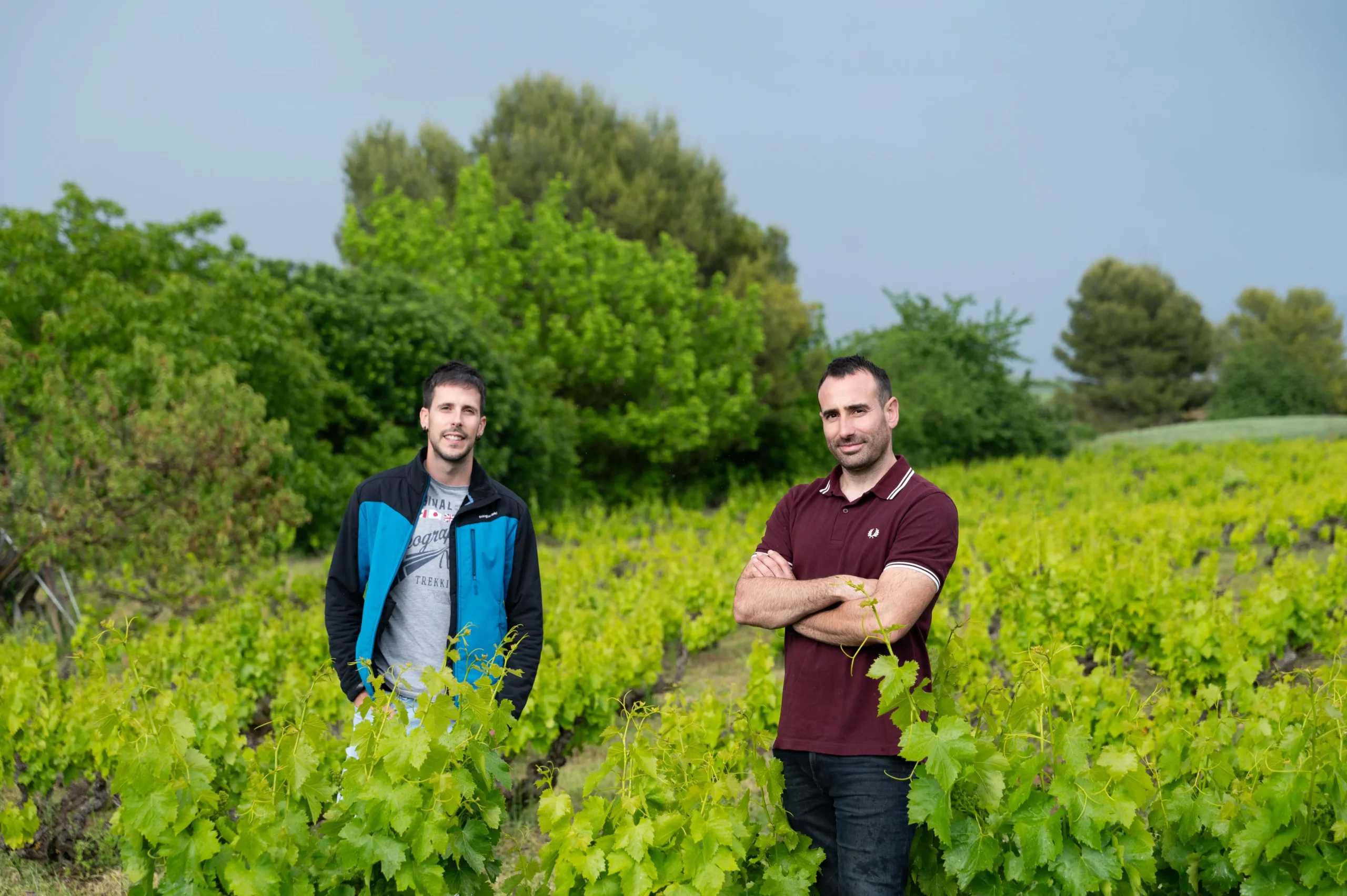 Sobre nosotros legardabidea viticultores horizontal